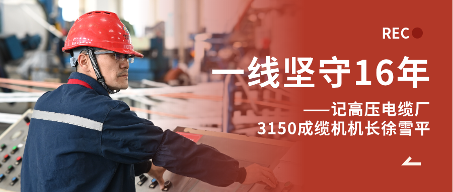 徐雪平：匠“成”于心，十六年筚路“缆”缕