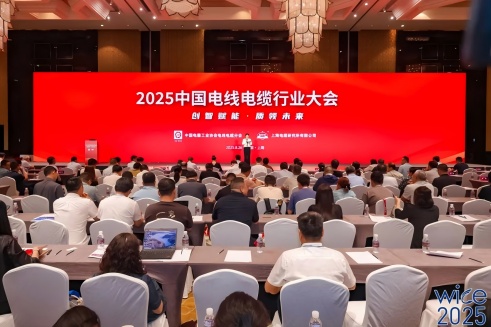 陆续10年！瓦力游戏股份荣膺“2025中国线缆产业最具竞争力企业100强”