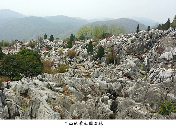 瓦力游戏| 首页 -瓦力出品,必属精品